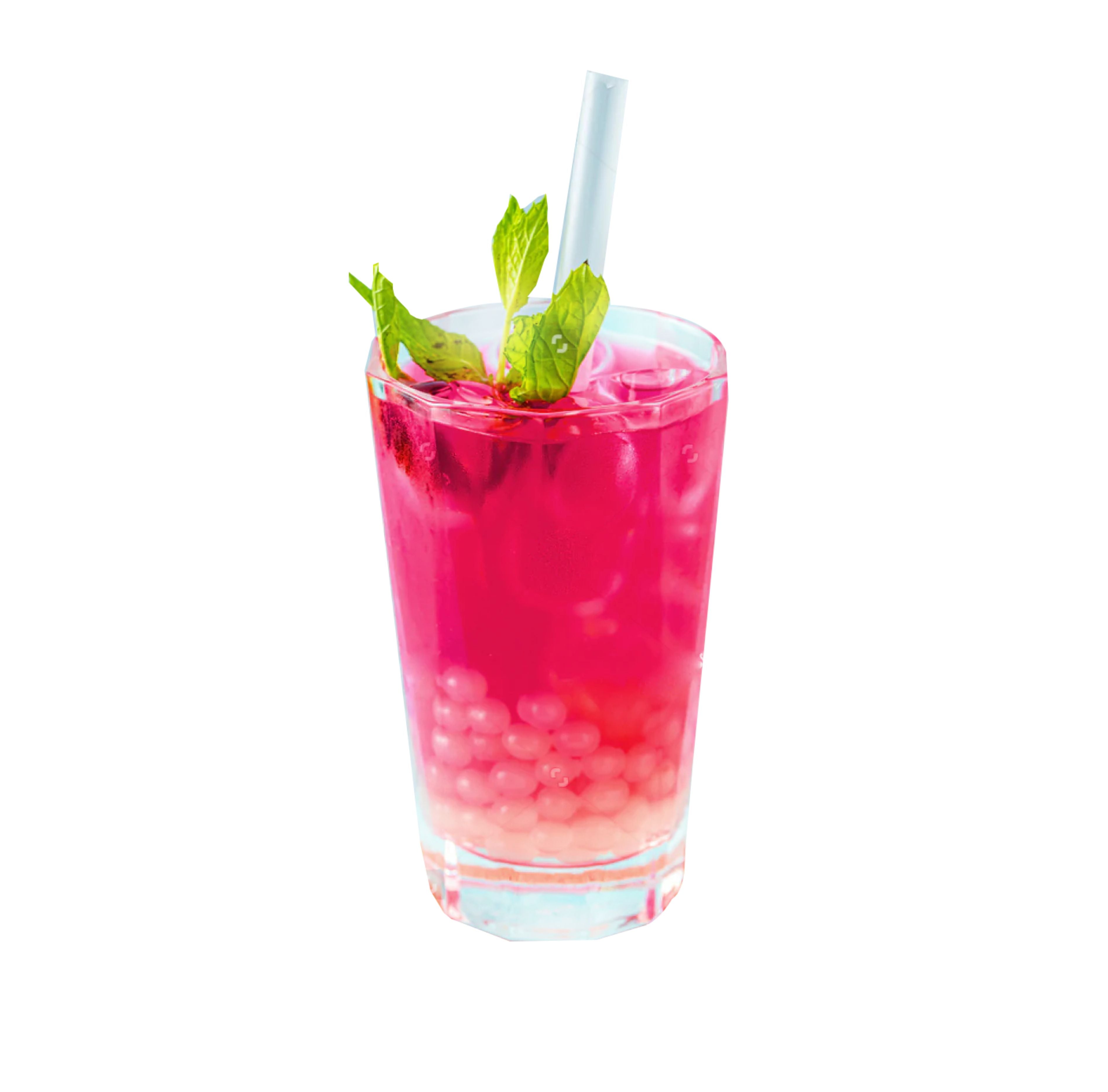 Hibiscus & Ginger Fruit Tea Starter Kit