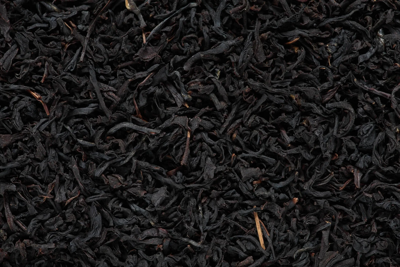 Direct-plantation loose-leaf tea at The Tea Planet