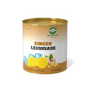 Ginger Lemonade Premix - 800 gms