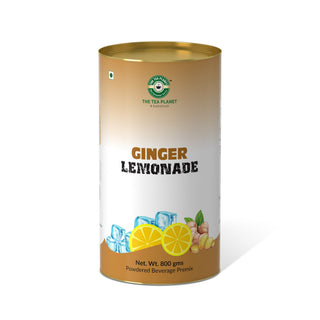 Ginger Lemonade Premix - 400 gms